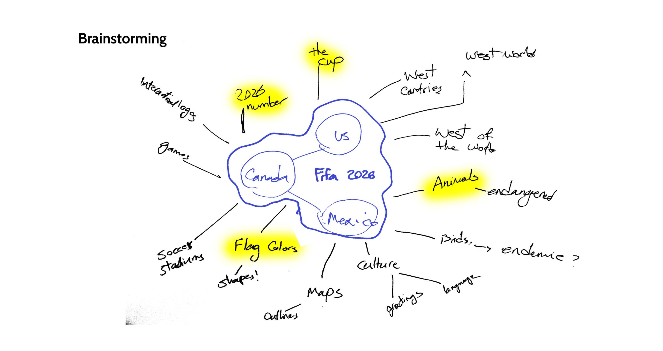 shabnam-ghadirnejad-ProcessBook_fifa8